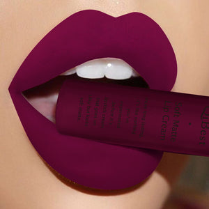 Qibest Brand Lips Beauty Makup Pigment Waterproof Lipgloss Long Lasting Black Velvet Matte Nude Lipstick Red Lip Gloss Lot